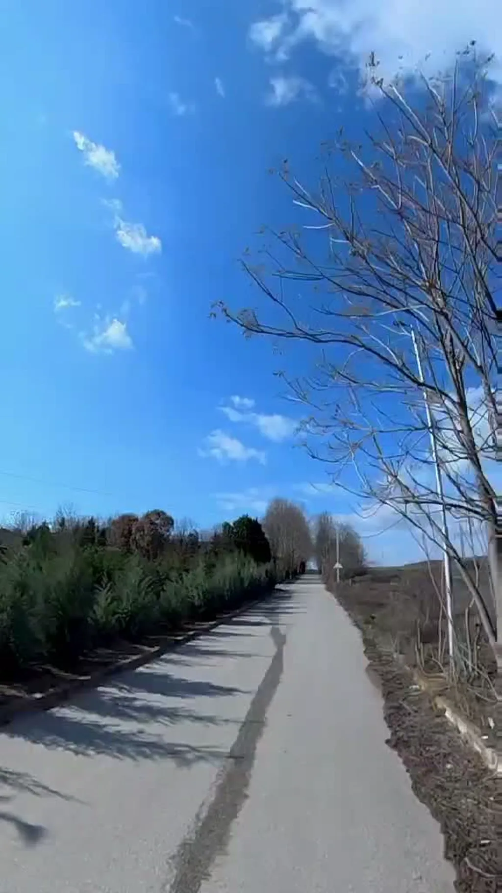 Coming from the north